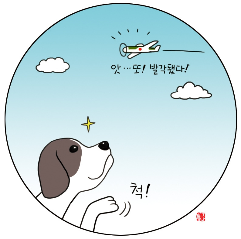 012 잉글리시 포인터5.jpg