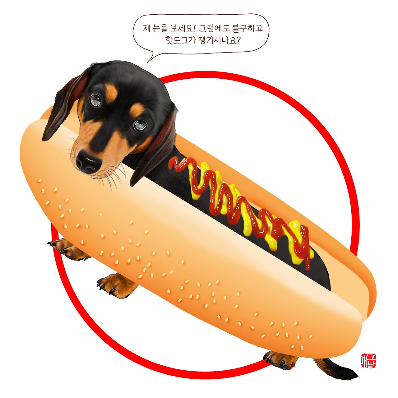 013 닥스훈트5.jpg