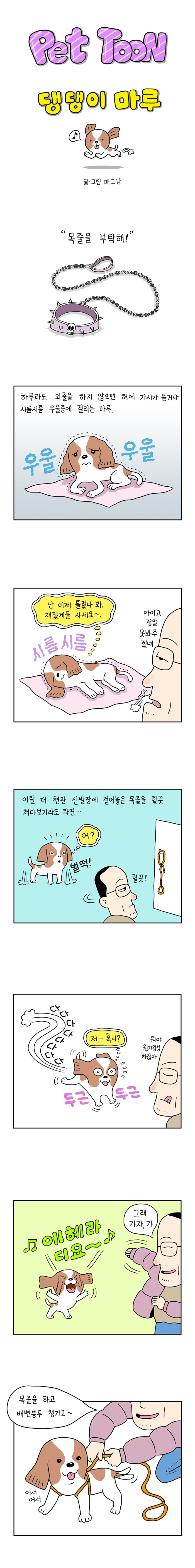 펫툰#3-1.jpg