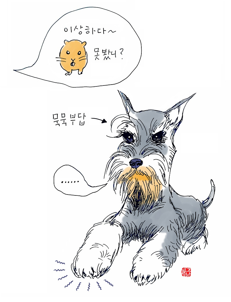 016 쉬나우저5.jpg