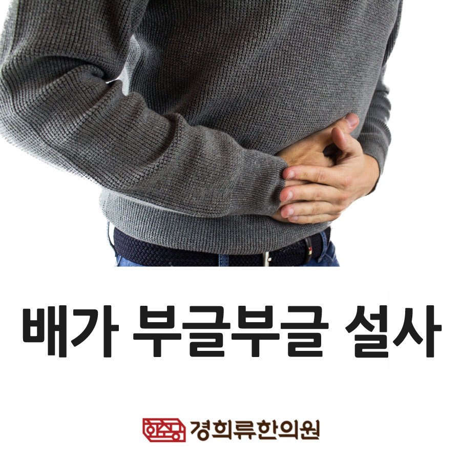 221202_배가부글부글설사브런치01.jpg
