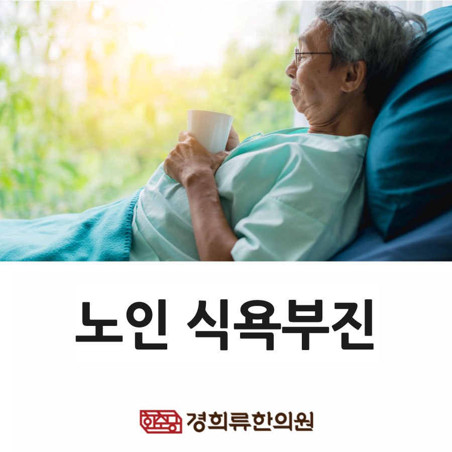 230209_노인식욕부진-경희류01.jpg