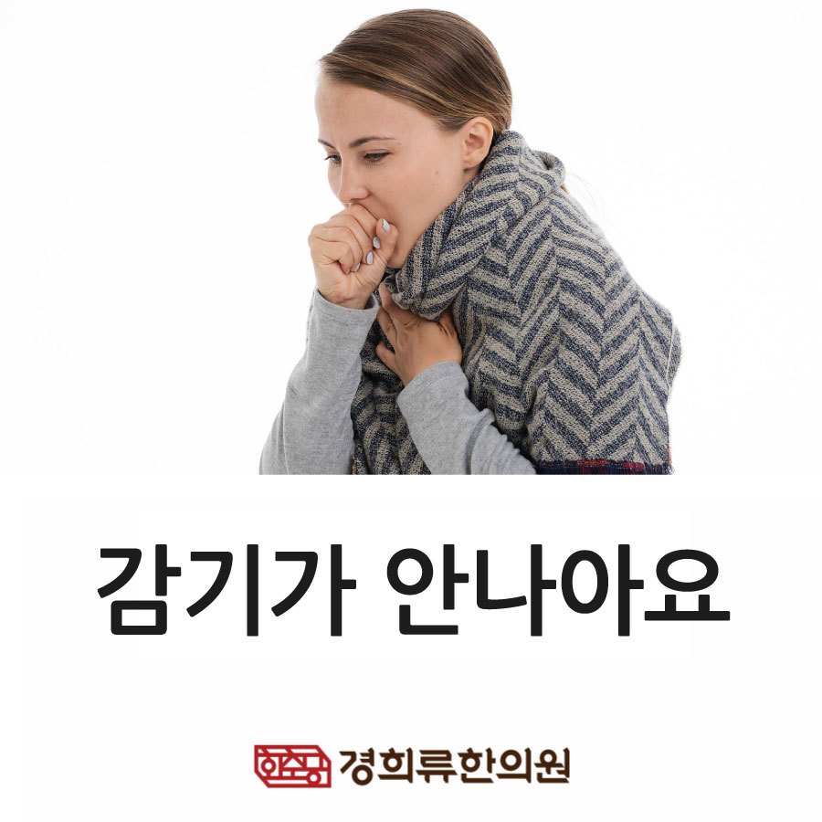 221117-감기가-안나아요01.jpg