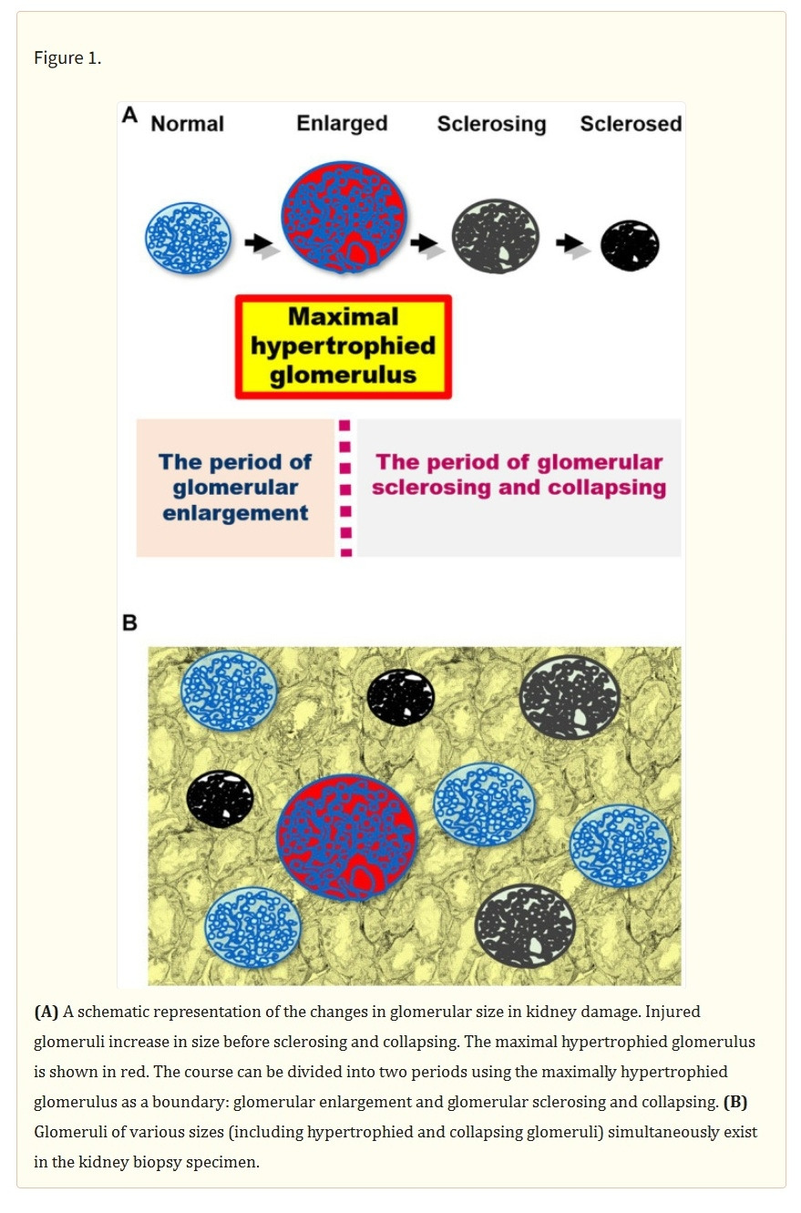 Katoika 그림굿~.jpg
