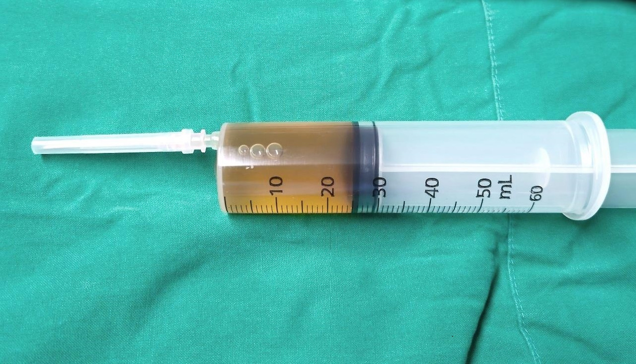 KakaoTalk_20250905_034737358 (2).jpg