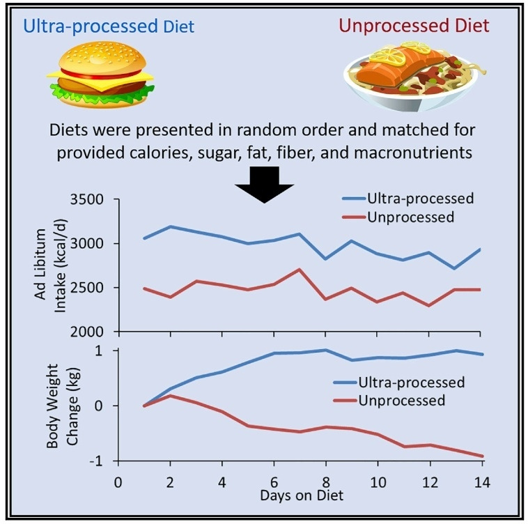 Time지에 나온 NIH 논문.jpg