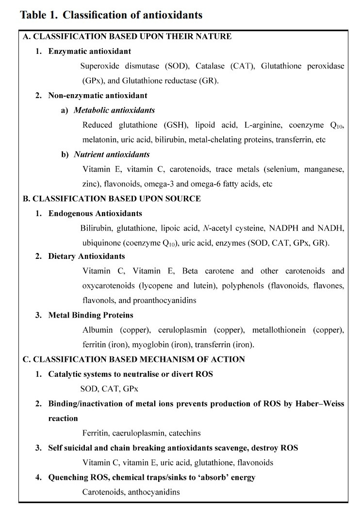 항산화제 분류표.jpg