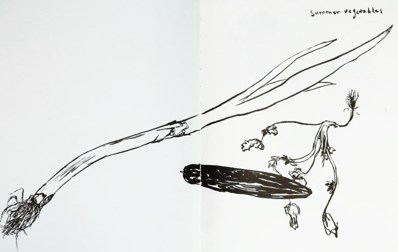 sketch_vegetable.jpg
