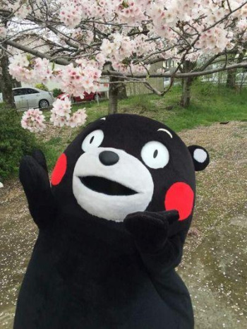 bd8d4b8257ebe6485d711f4f52734b1c--kumamon-wallpaper-min-suga.jpg