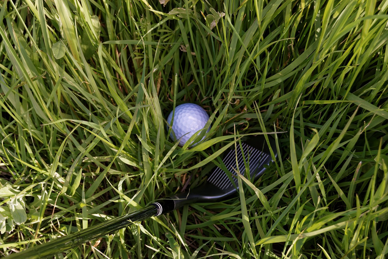 golf-881331_1280.jpg