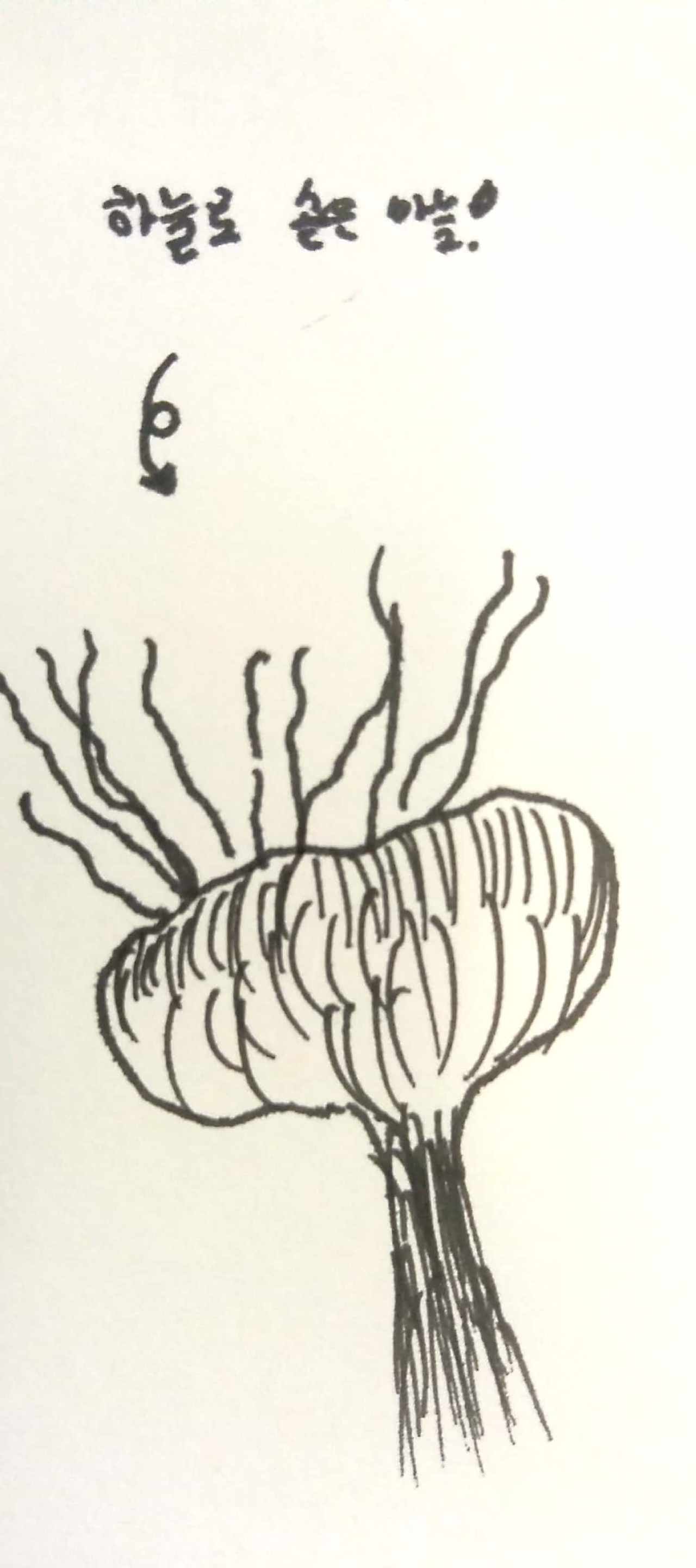 새 파일 2017-09-15_3.jpg