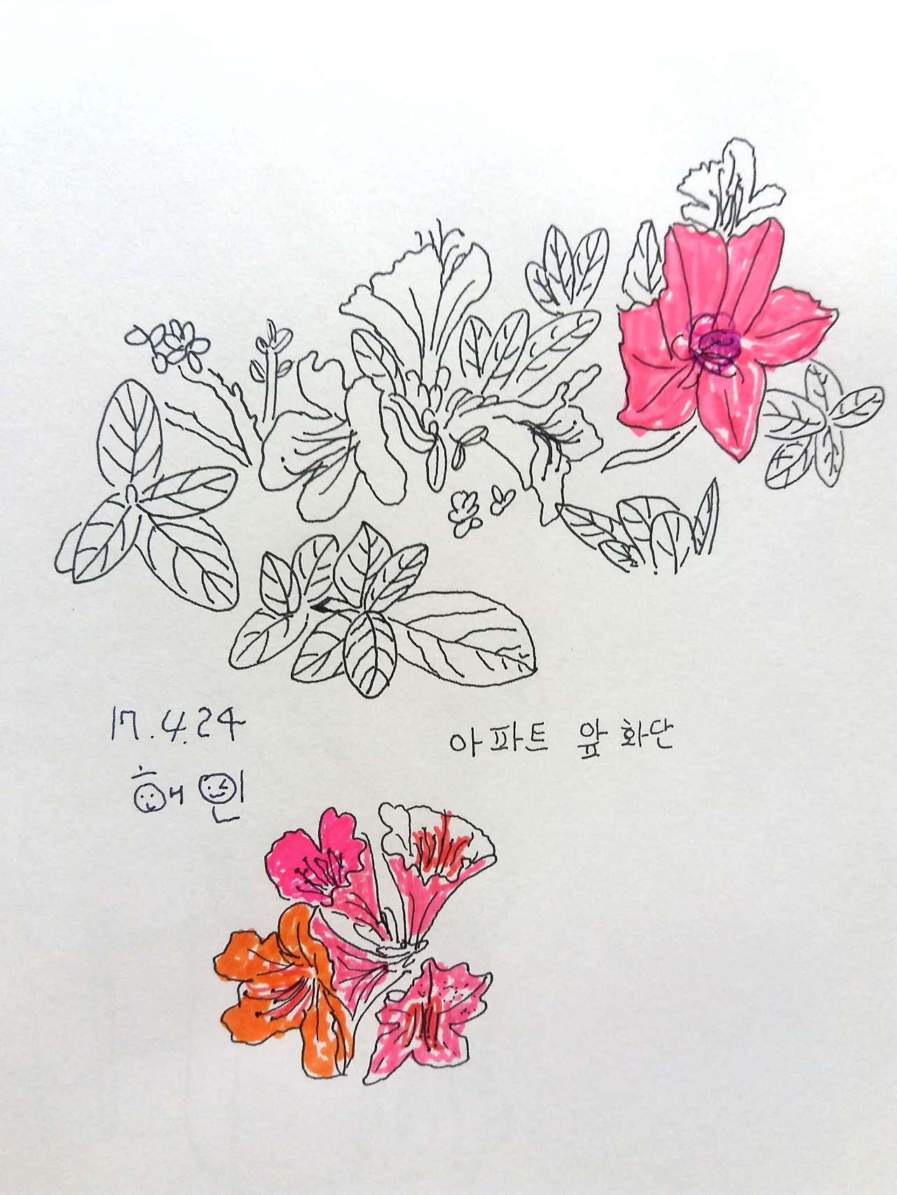 새 파일 2017-04-24_1.jpg