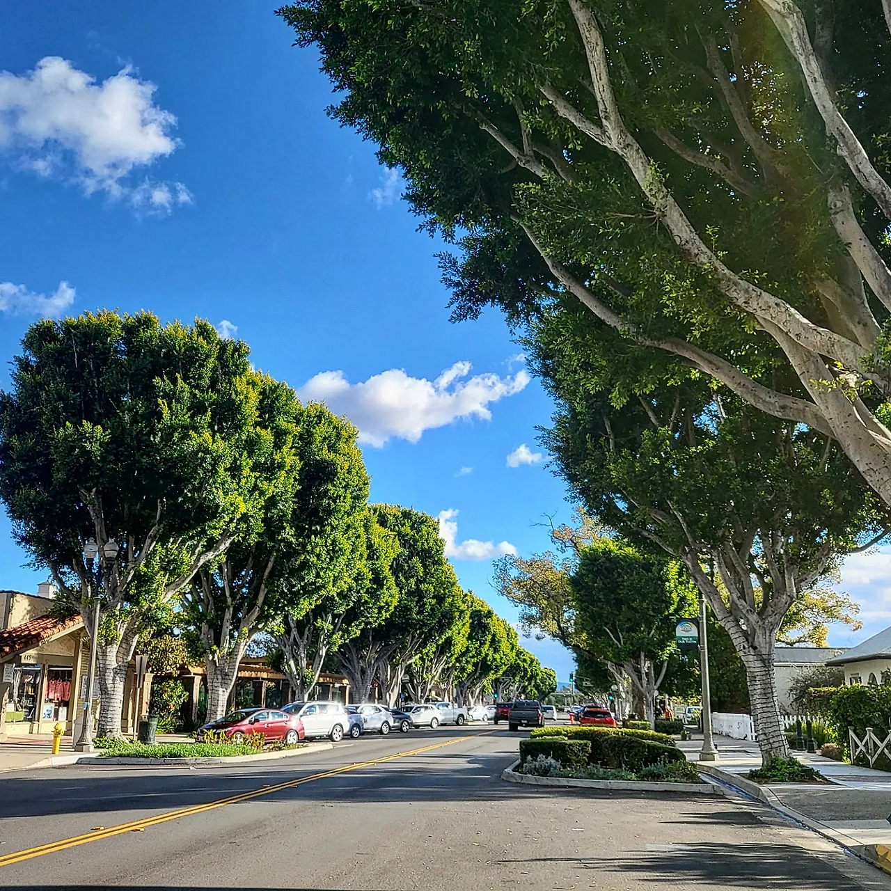 KakaoTalk_Photo_2023-03-21-04-04-46 002.jpg