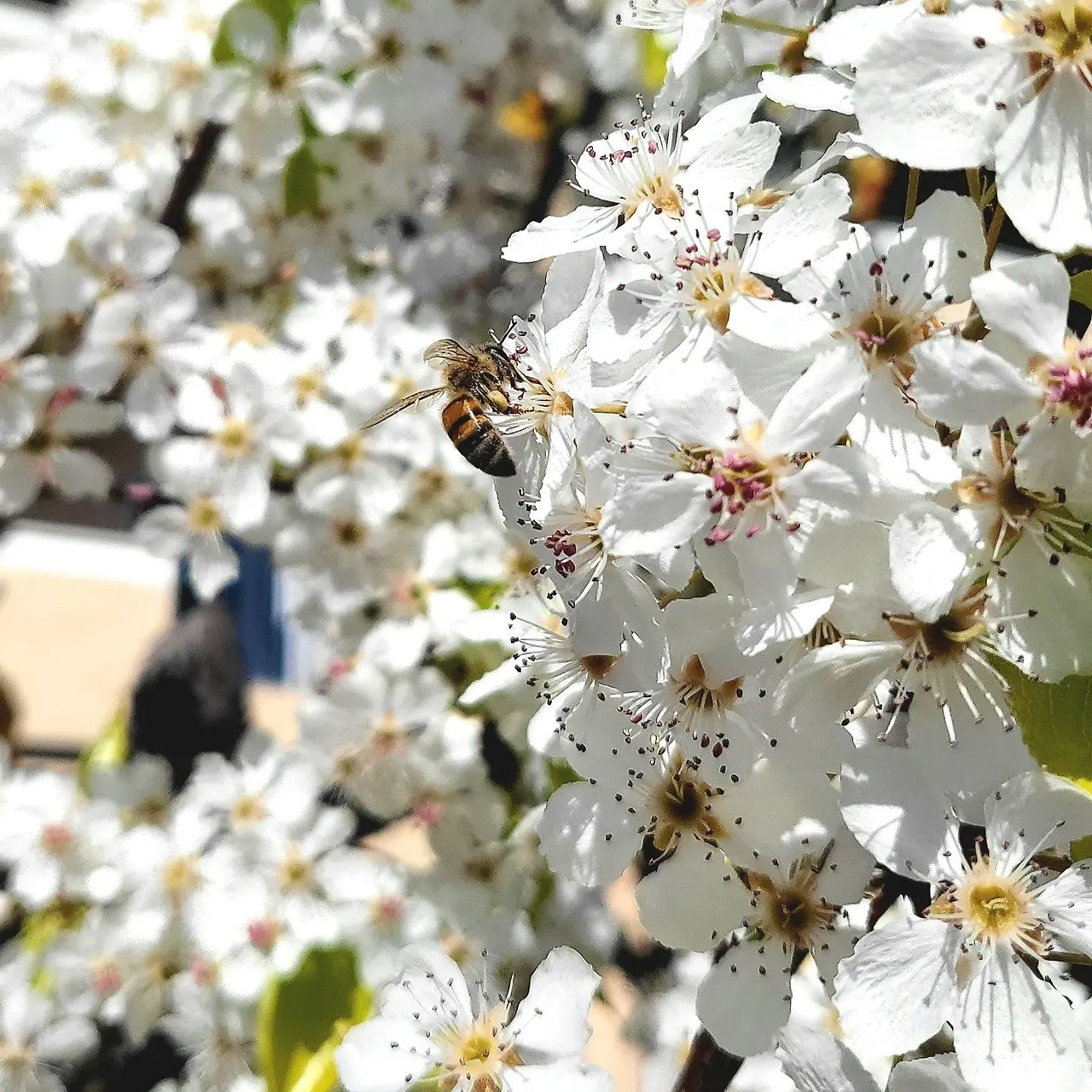 KakaoTalk_Photo_2023-02-22-03-22-28 001.jpg