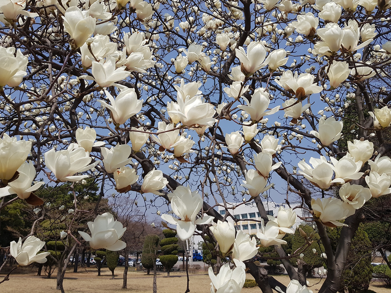 2022-04-06 13.07.15.jpg