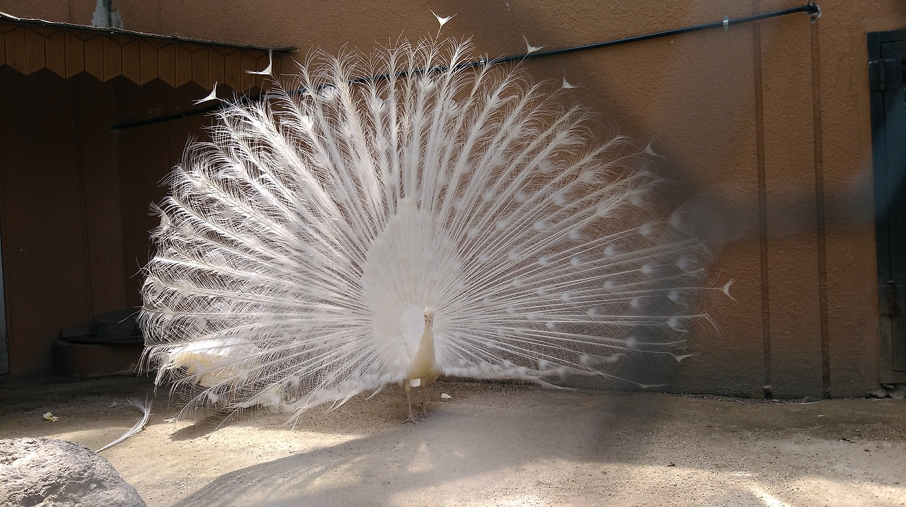 2018-05-24 13.37.01.jpg