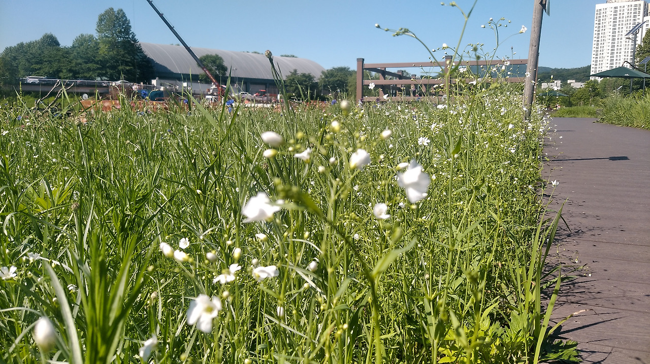 2018-05-19 09.37.30.jpg