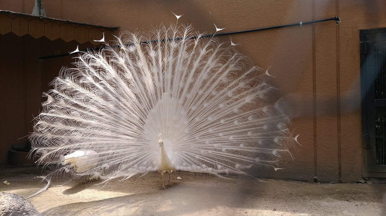 2018-05-24 13.37.03.jpg