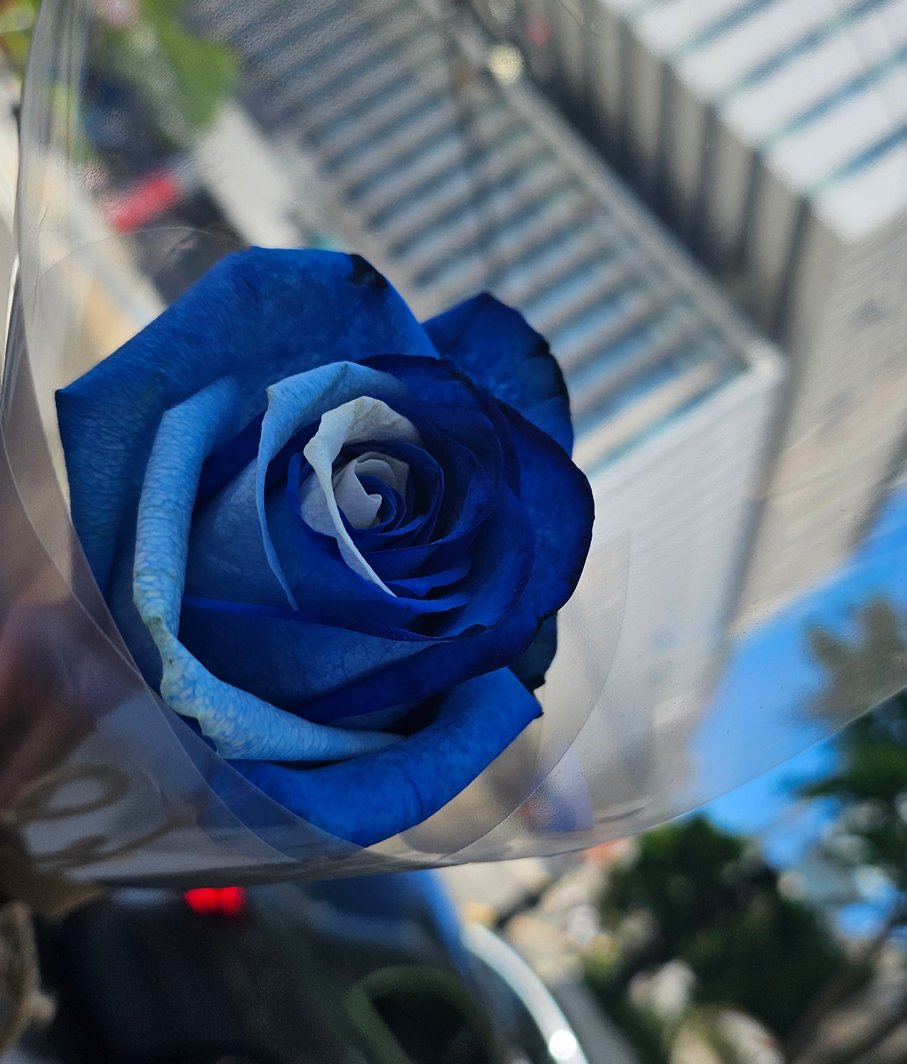 2024-05-28 13.23.37.jpg