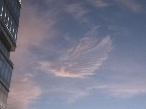 2017-08-22 19.47.09.jpg