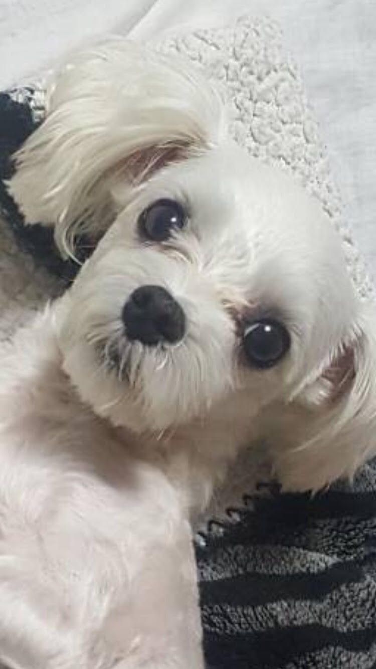 크리스 얼굴.jpg