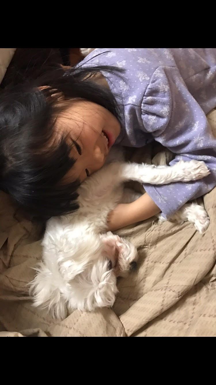 크리스일기 화보.jpg