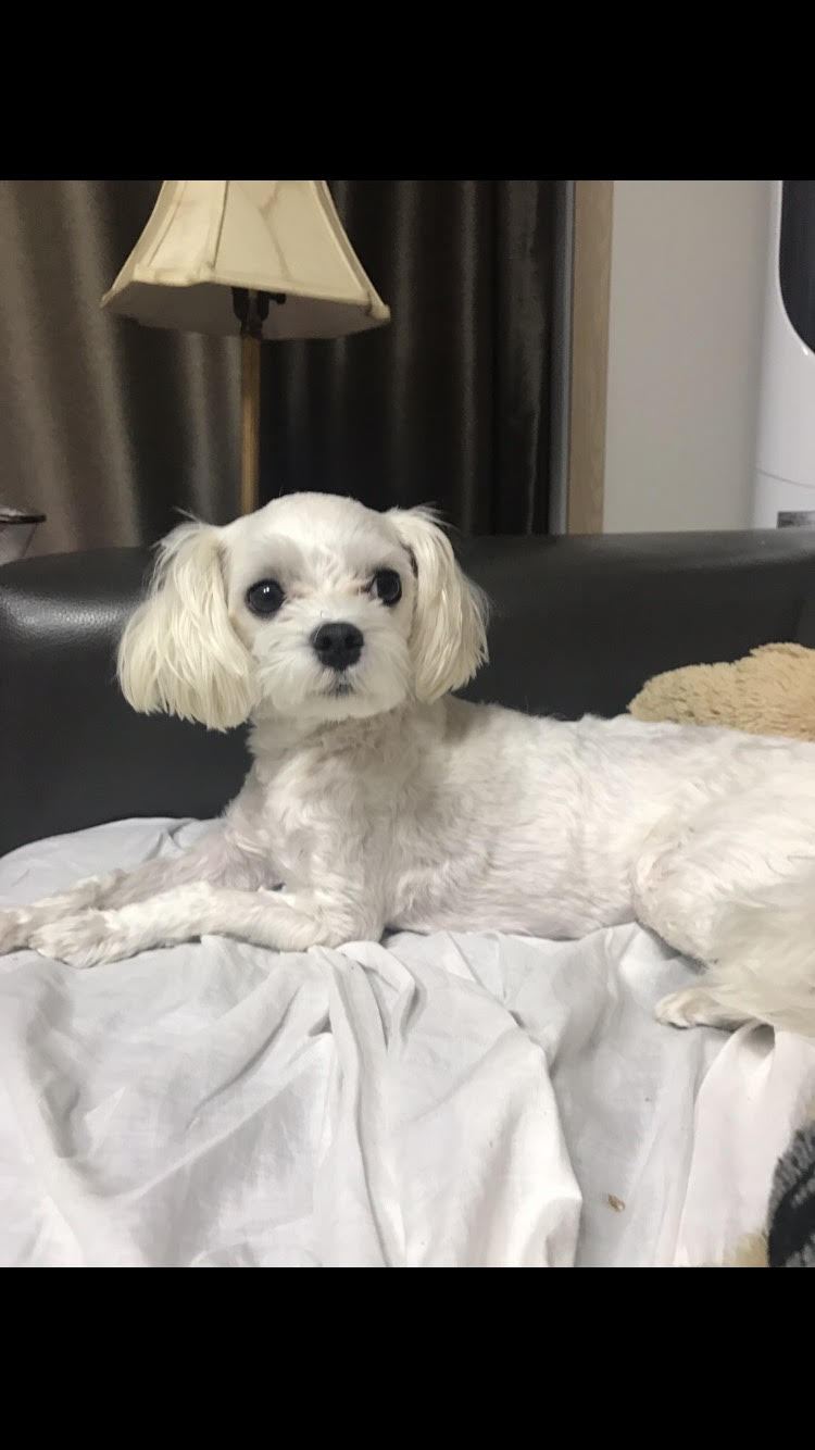 크리스 쌩뚱.jpg