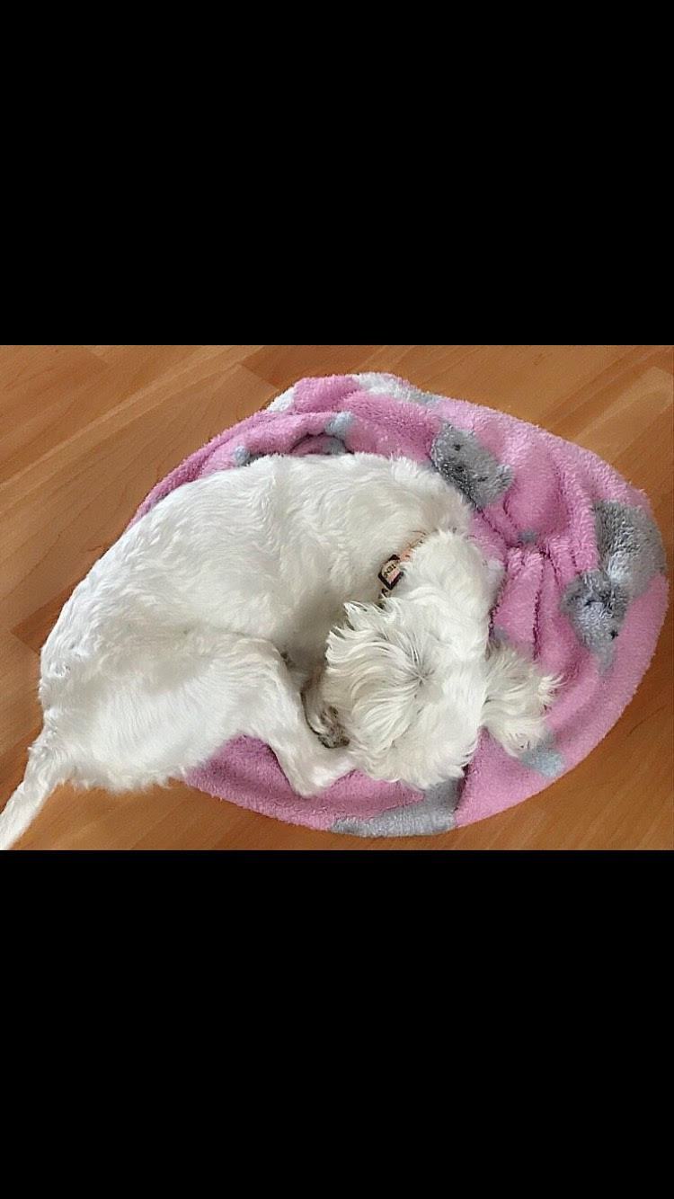 크리스 그만자.jpg