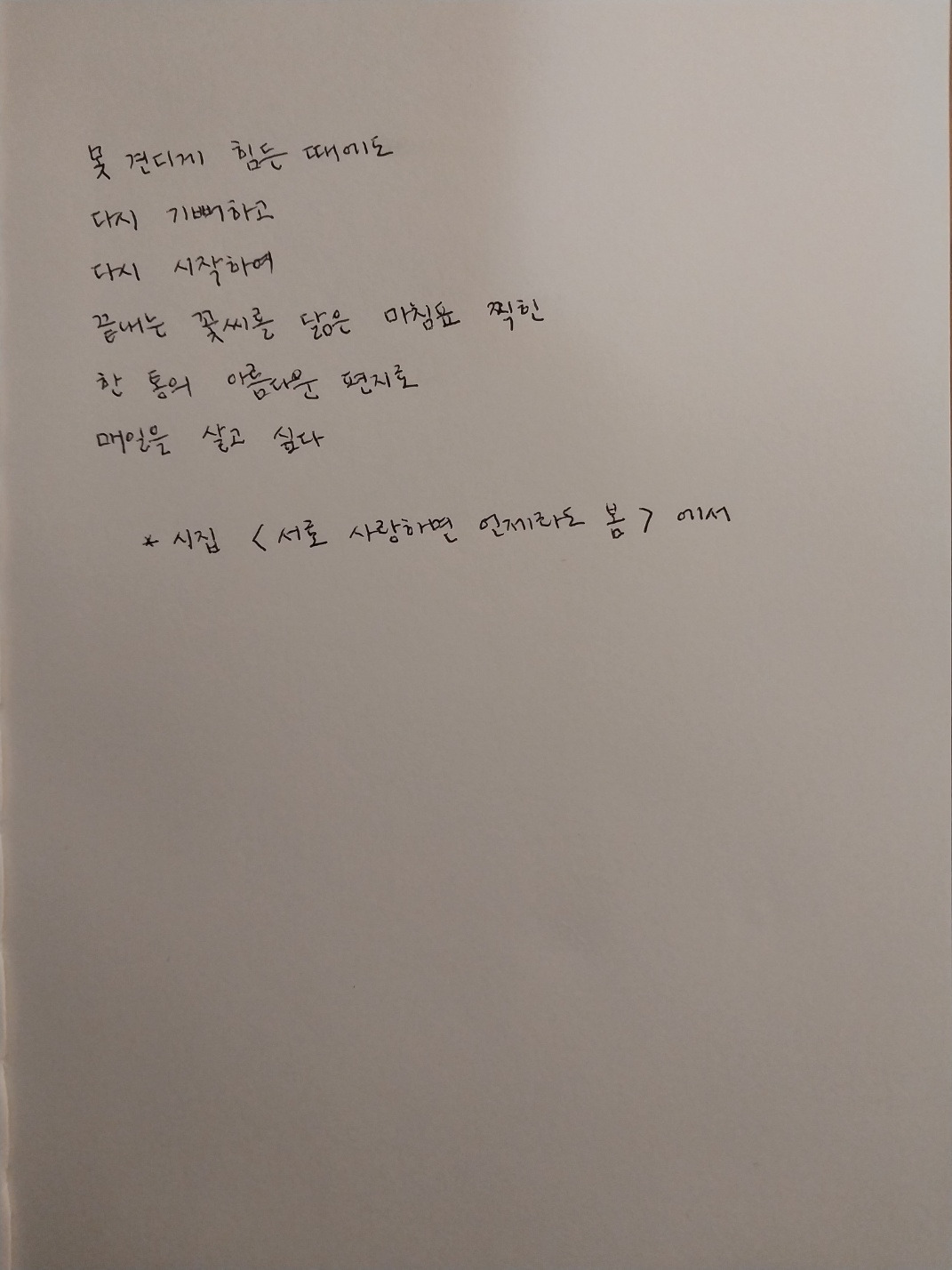 꽃씨를 닮은 마침표처럼.jpg