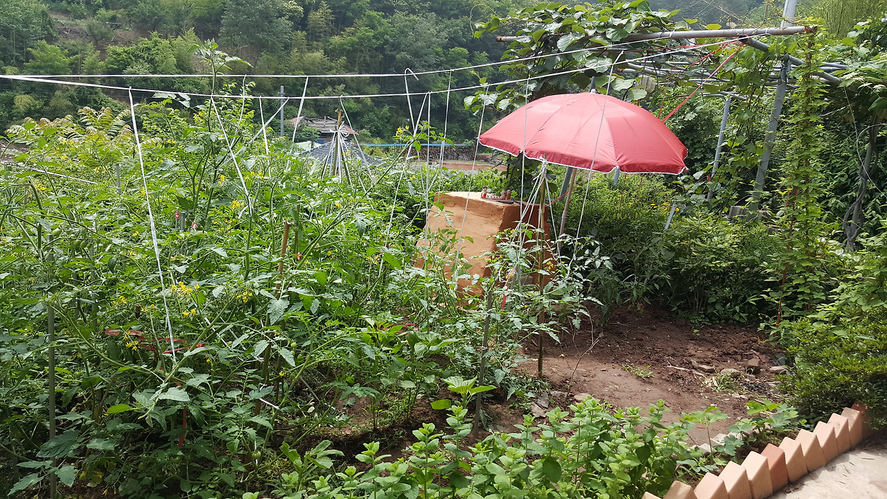 2018-06-13 13.18.47.jpg