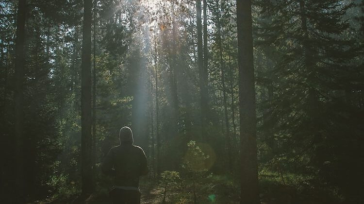 ((마음의 평화-평온함을 찾는 방법-내면의 비판자-혼자있는.jpg