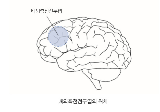 배외측 전전두엽.jpg