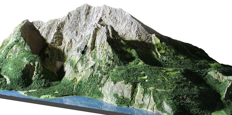 거리두기 개미.jpg