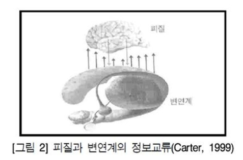 이성-변연계 네트워크.jpg
