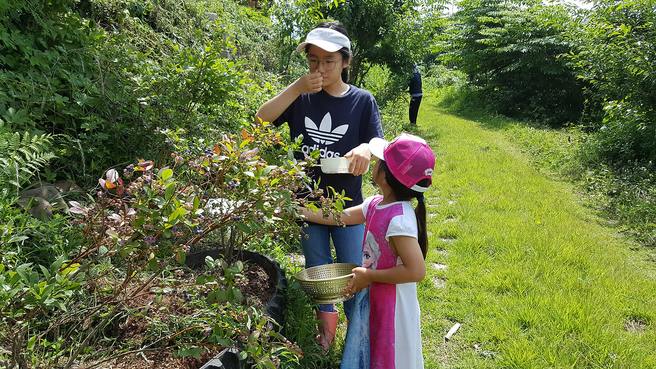 2018-06-17 10.48.09.jpg