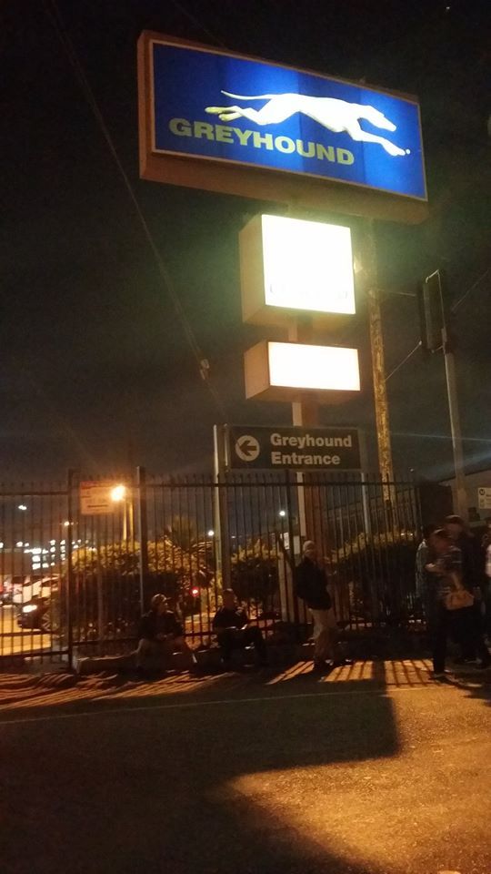 11952001_839116159489985_2604401821631474319_n (1).jpg