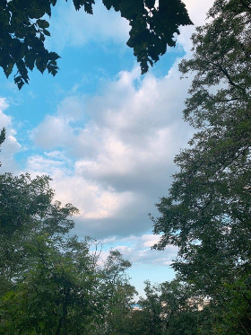 5. 솔직한 마음을 담는 글이란(4).jpg