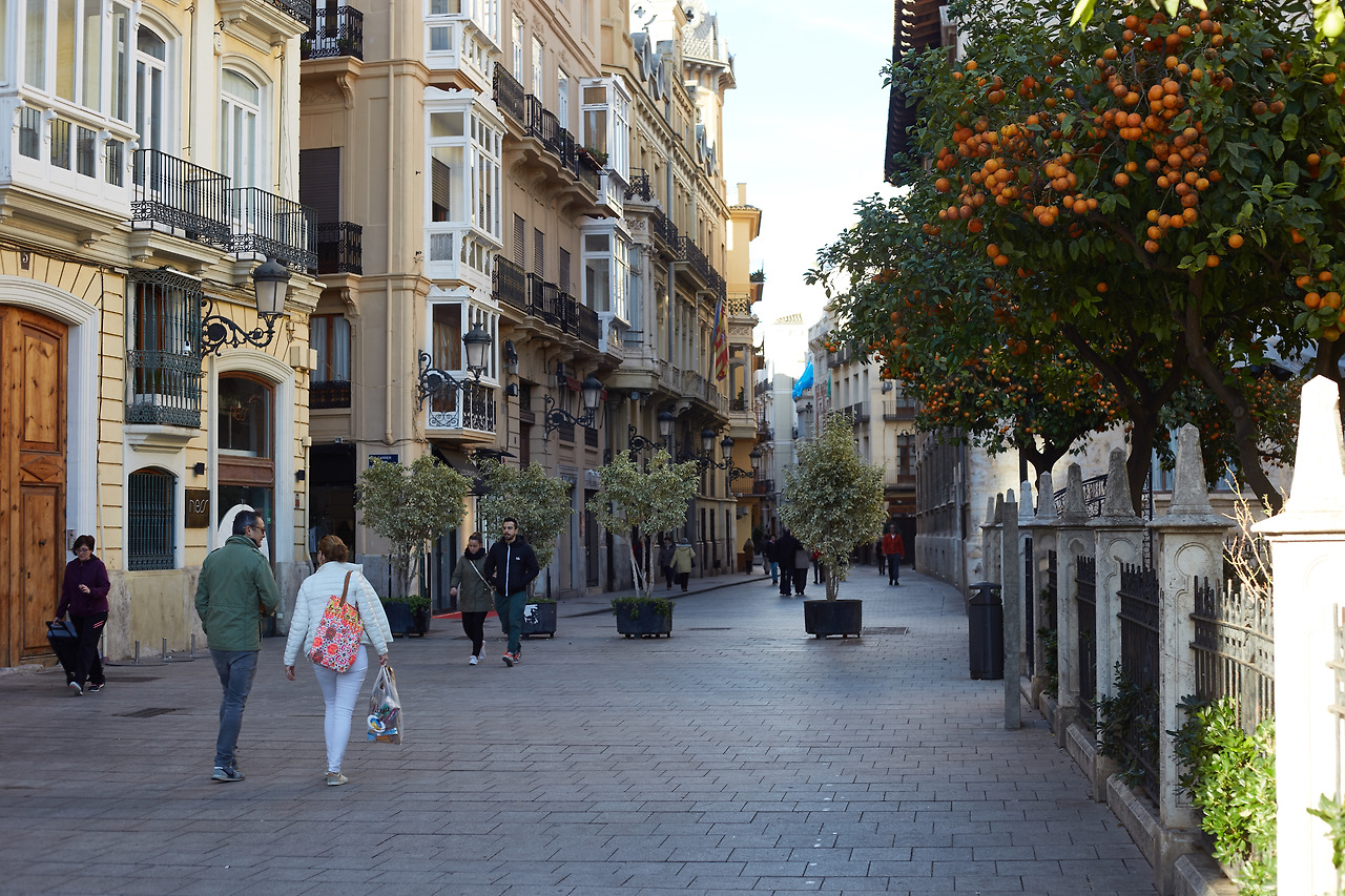 스페인 발렌시아의 길거리 풍경 이슬람 지배 당시 건너온 오렌지가 가로수처럼 놓여있다.jpg