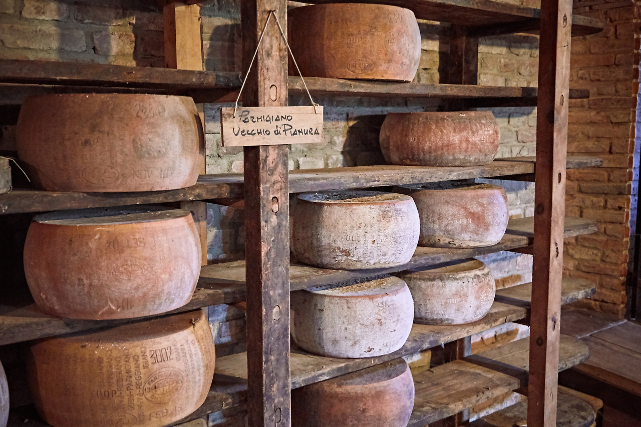 장기 숙성중인 파르미지아노.jpg