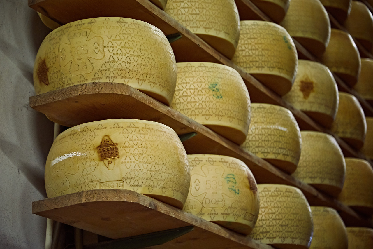 숙성중인 그라노 파다노 완제품에는 낙인이 찍힌다.jpg