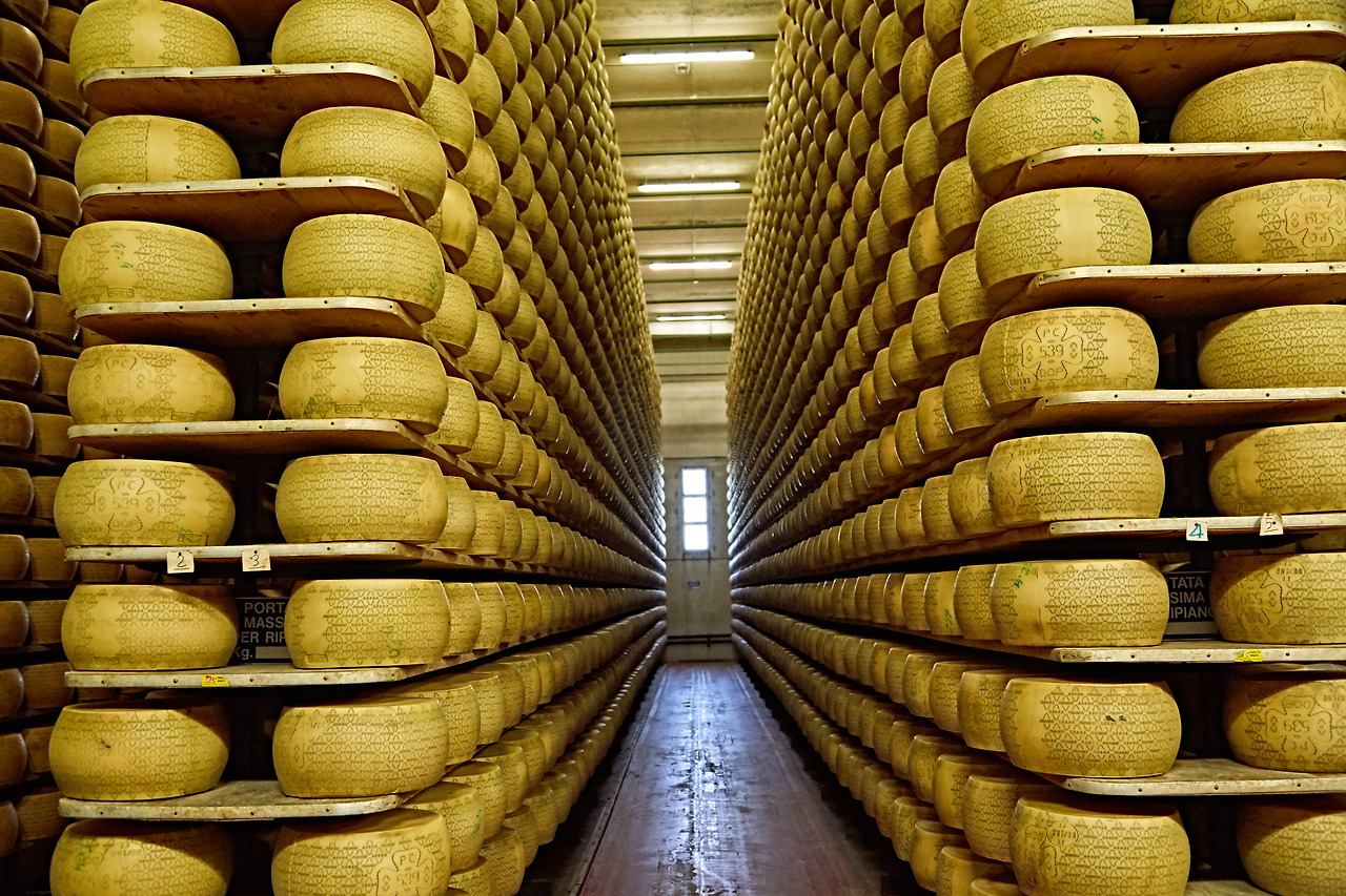 숙성중인 그라노파다노1.jpg