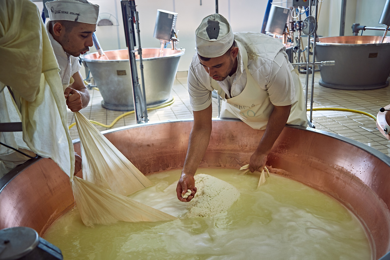 그라노파다노 공장.jpg