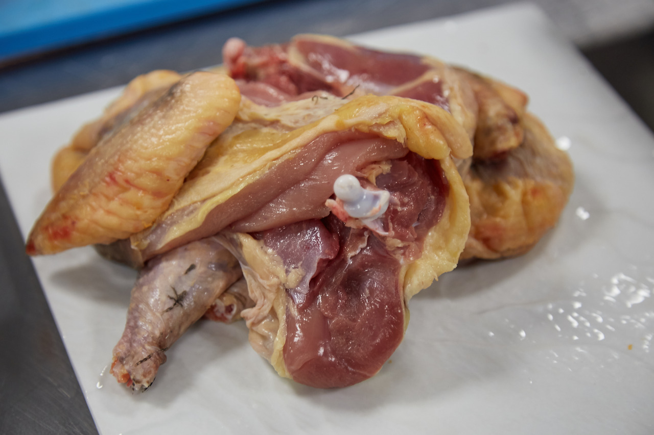 뿔닭의 근육은 선명한 붉은 색이다.jpg