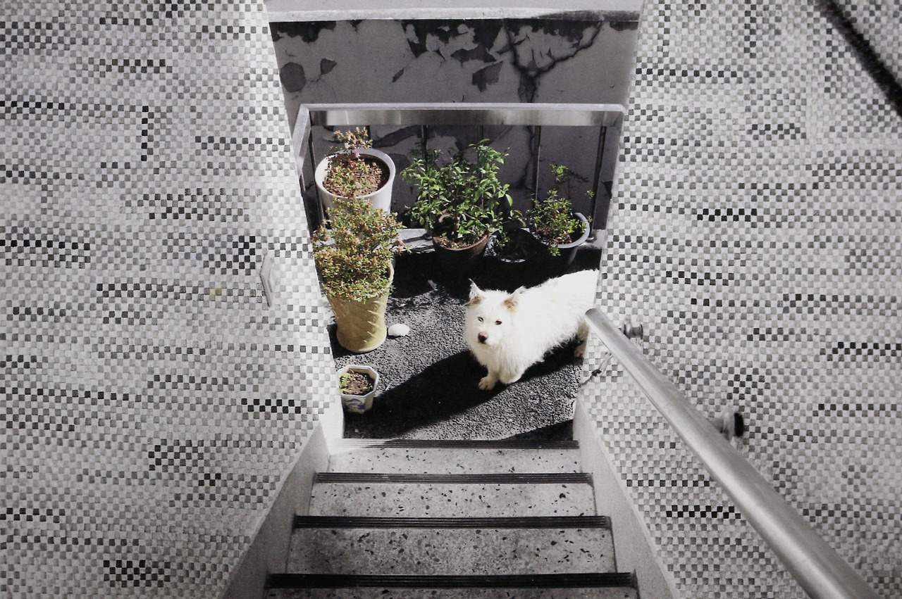 크기변환_계단 입구, korean ink and pigment print on korean paper, 26.5x40.0cm,2015.jpg