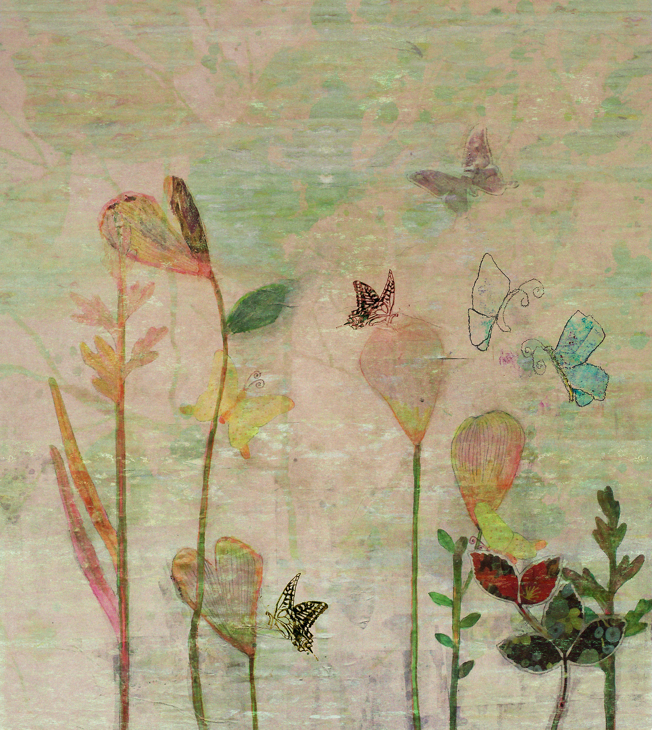 11_정은주_꽃과나비2_pigment  print on German Etching Paper,_38X42_2013_프레임있음.jpg