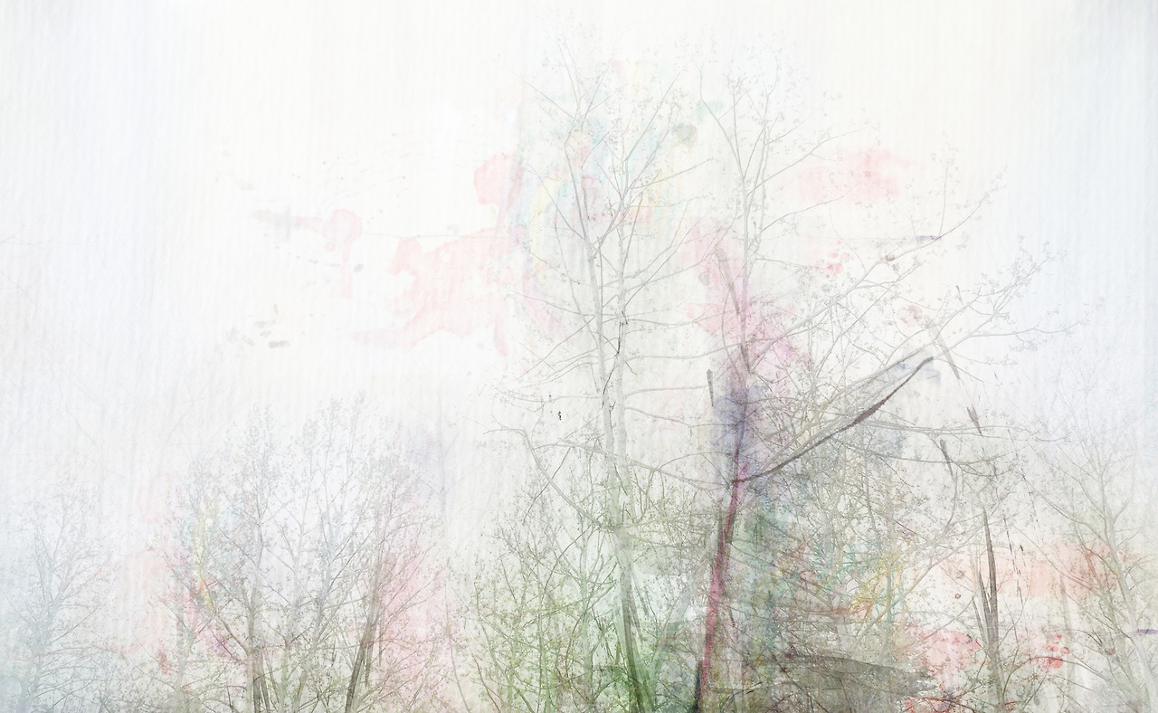 5_정은주_봄날그리움_mixed media on paper_65x40_2013_프레임있음.jpg