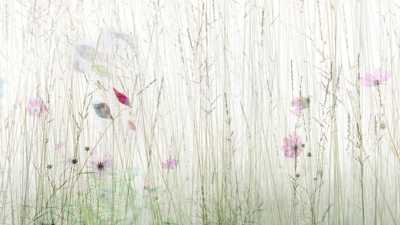 4_정은주_Fall_pigment print on German Etching Paper,_71X40_2013_프레임있음.jpg