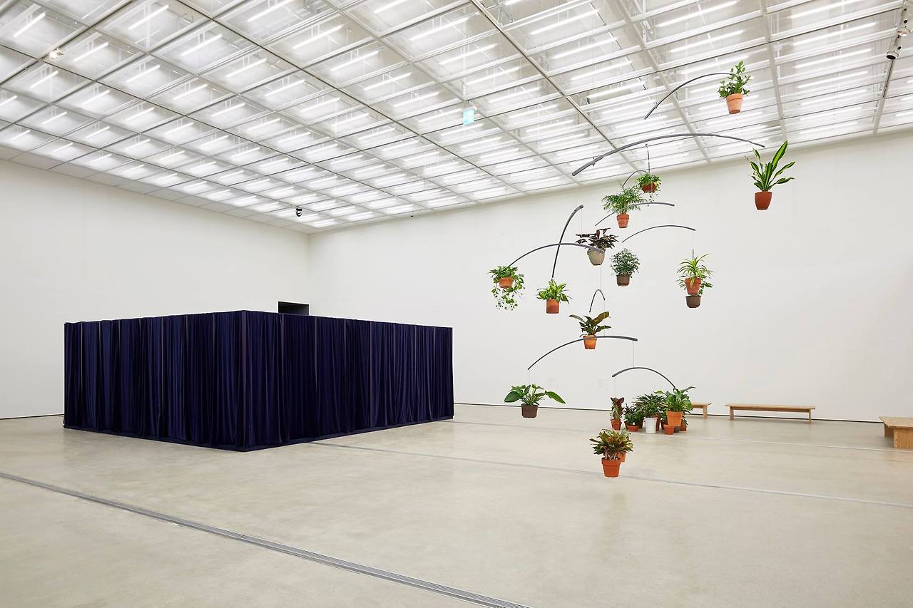 식물의 시간 II .jpg