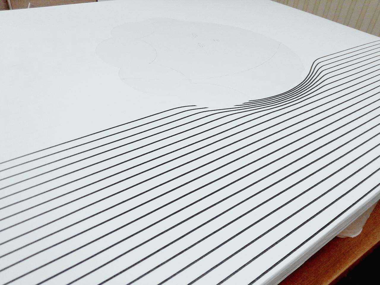 늪2 과정2.jpg