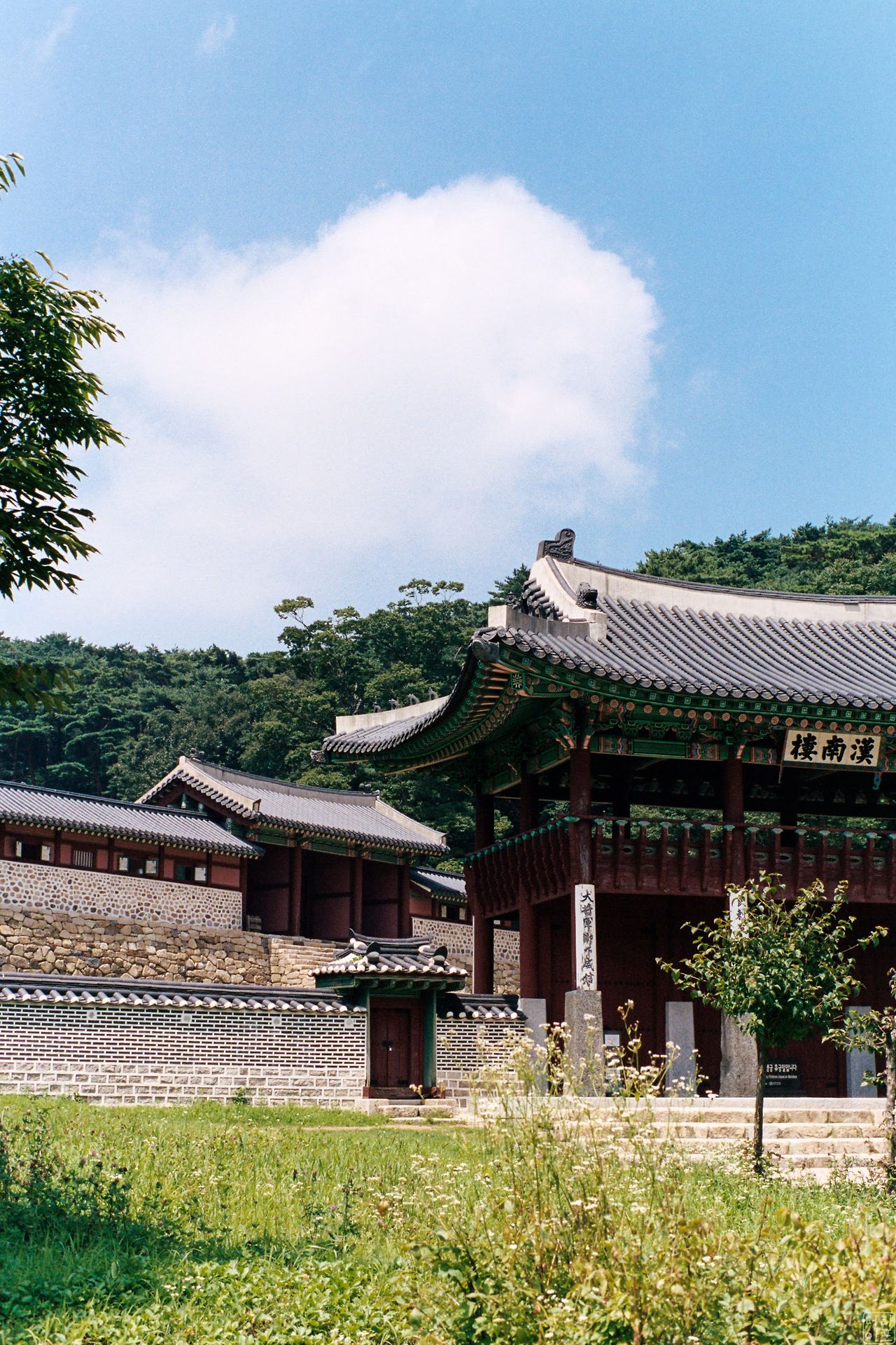 Allan KIM 20200824A Portra400-24.jpg